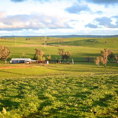 Wantana Cottage Farmstay Boorowa Luaran gambar