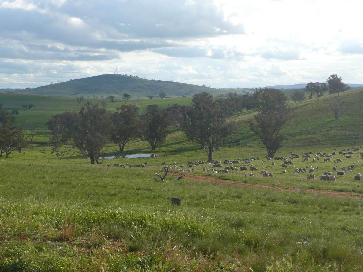 Wantana Cottage Farmstay Boorowa Luaran gambar