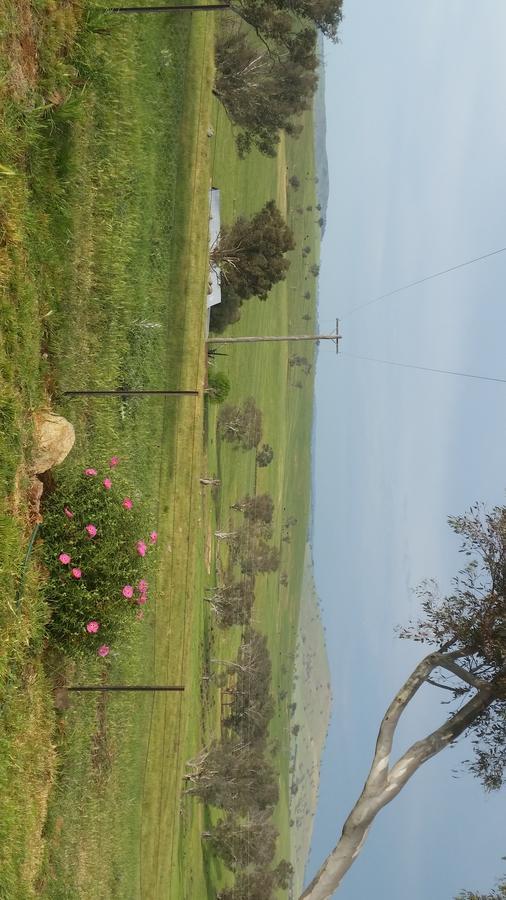 Wantana Cottage Farmstay Boorowa Luaran gambar