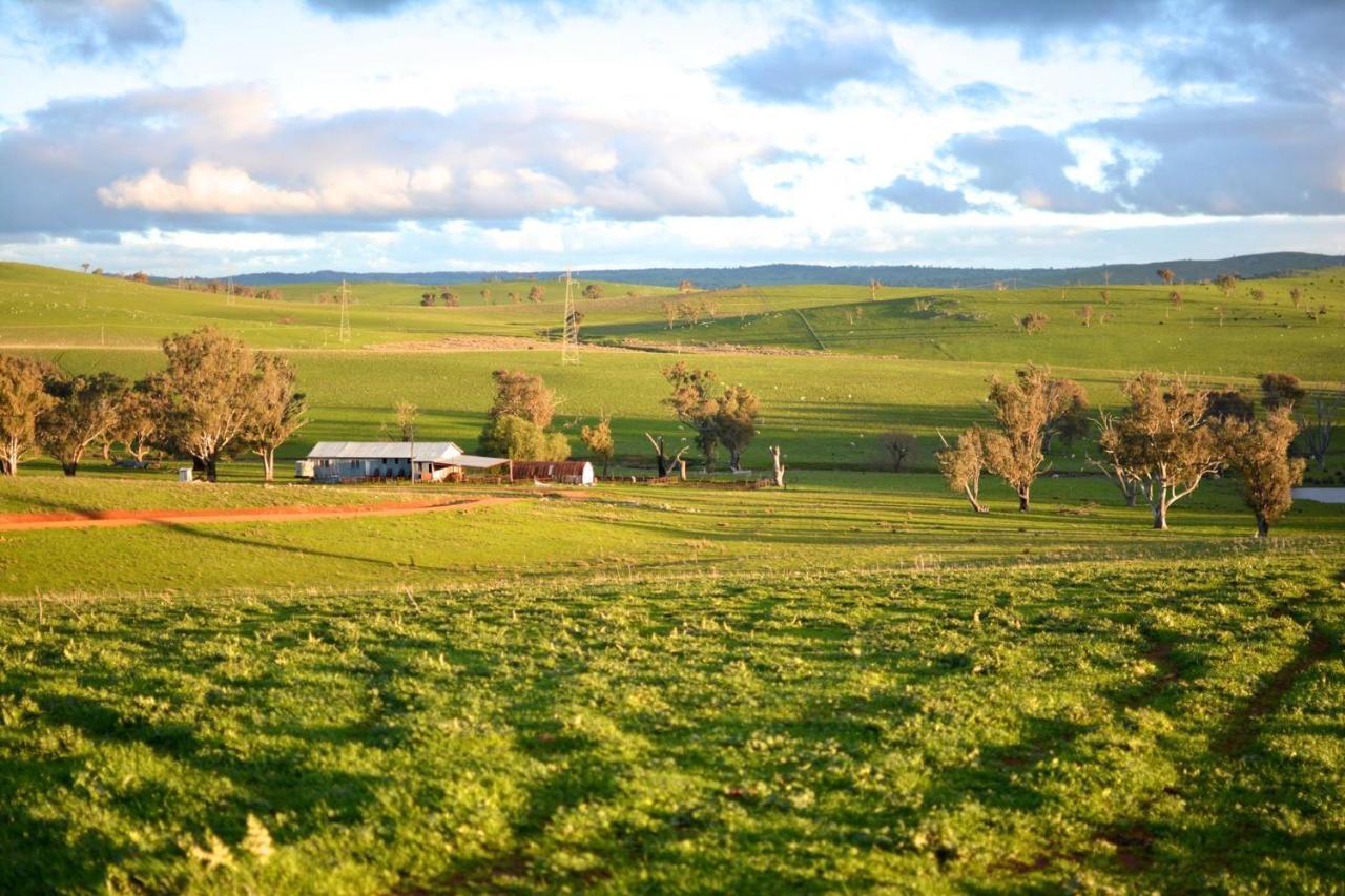 Wantana Cottage Farmstay Boorowa Luaran gambar